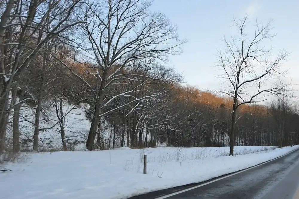 A snowy wooded hillside along Geauga Lake Road in Bainbridge Township, Ohio