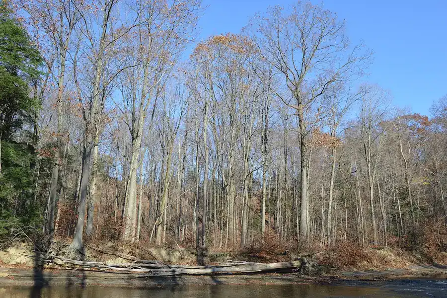 Bare autumn woods rising from Mill Creek toward Hogback Ridge in Madison Township, Ohio